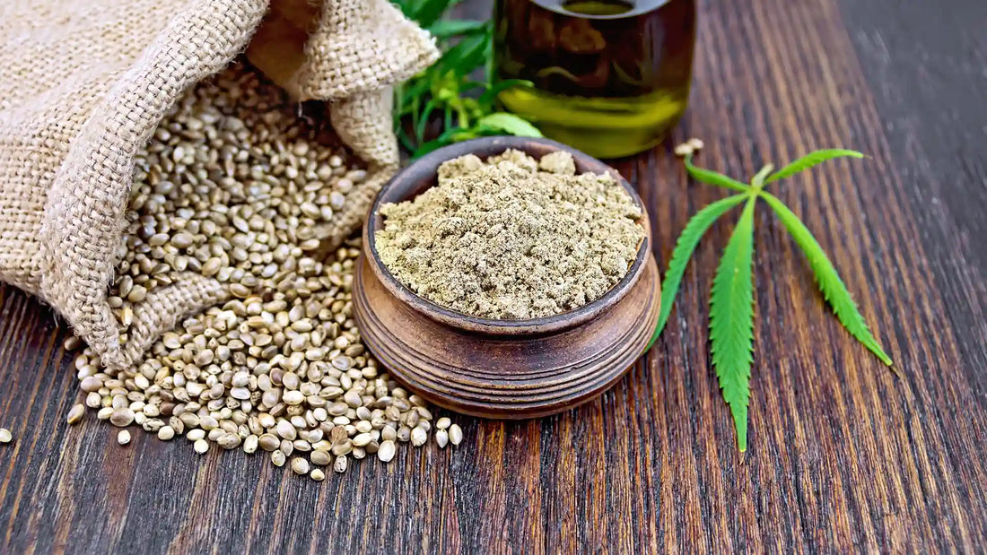 Hampun Terveellisyys